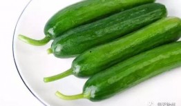 热门大瓜莫里秀 吃瓜是什么意思,莫里秀引领的网络热词现象